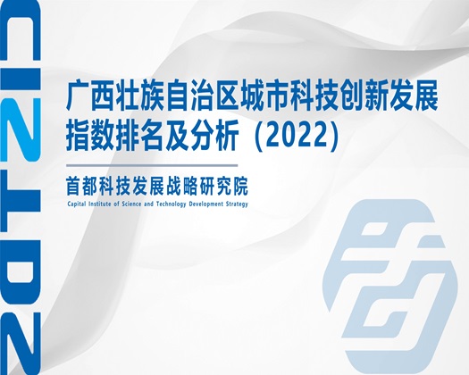 女人操B视频【成果发布】广西壮族自治区城市科技创新发展指数排名及分析（2022）